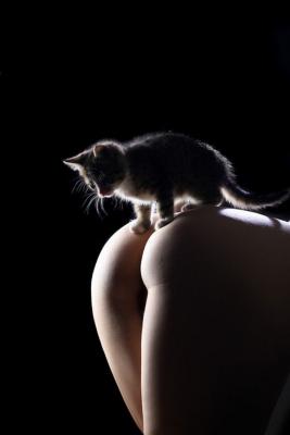 Прикрепленное изображение: опа....jpg